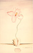 Surrealistic Dream